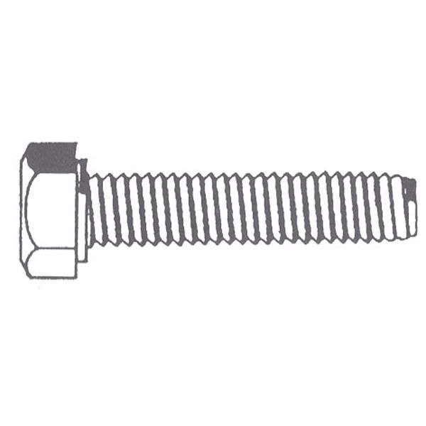 Tornillos