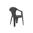 SILLA PP WENGUE DREAM -
