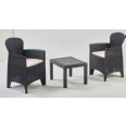 CONJUNTO RESINA ANTRAC AKITA