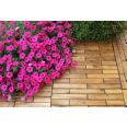 LOSETA MADERA ACACIA PACK6 30X60X2.5