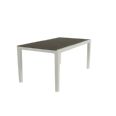 MESA RESINA HARMONY BEIGE/TOPO 160X90X74
